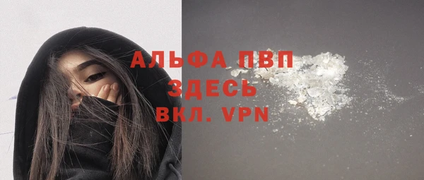 дмт Магас