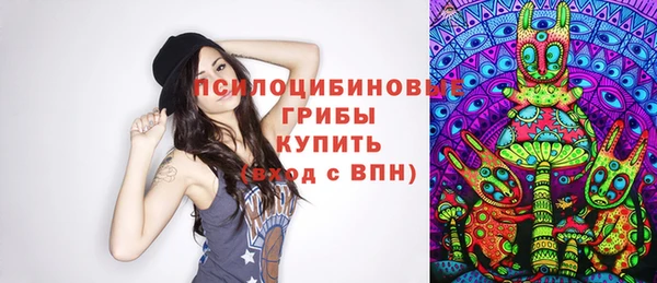 дмт Магас