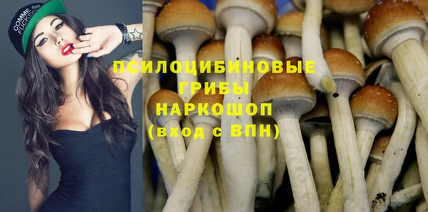 дмт Магас