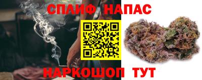 мдпв Тверь
