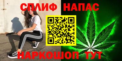 мдпв Тверь