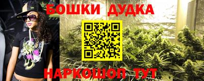 хмурый Абакан