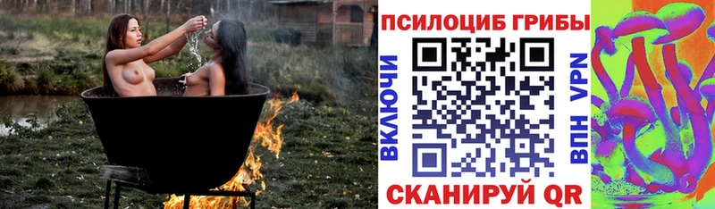 кракен ТОР  Тейково  мориарти какой сайт  Псилоцибиновые грибы мухоморы 