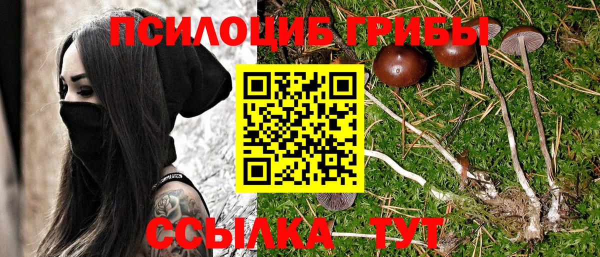 Галлюциногенные грибы мухоморы  Тейково 