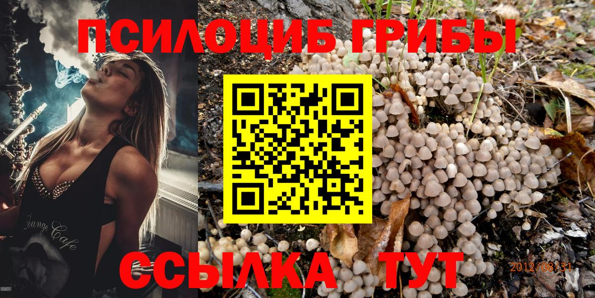 Галлюциногенные грибы GOLDEN TEACHER Тейково