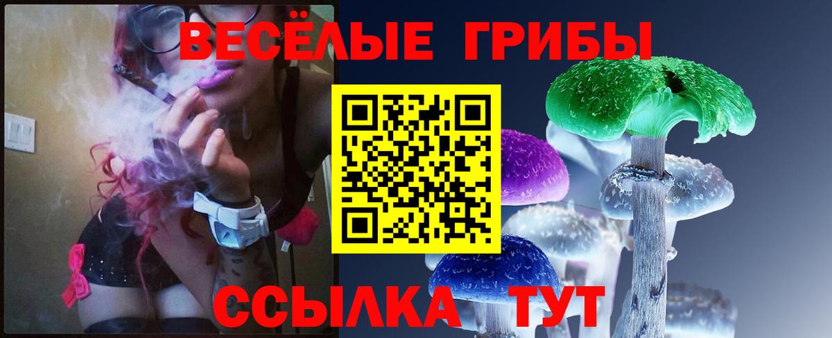 Галлюциногенные грибы мицелий Тейково