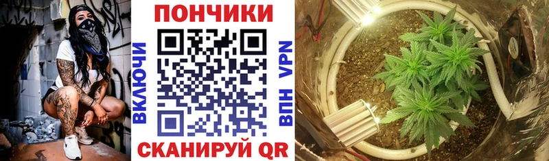 Канабис White Widow  где найти   Тейково 